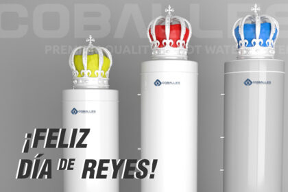 Reyes Coballes